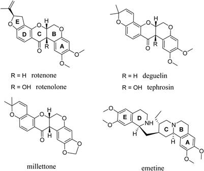 Inhibition of adenovirus transport from the endosome to the cell nucleus by rotenone